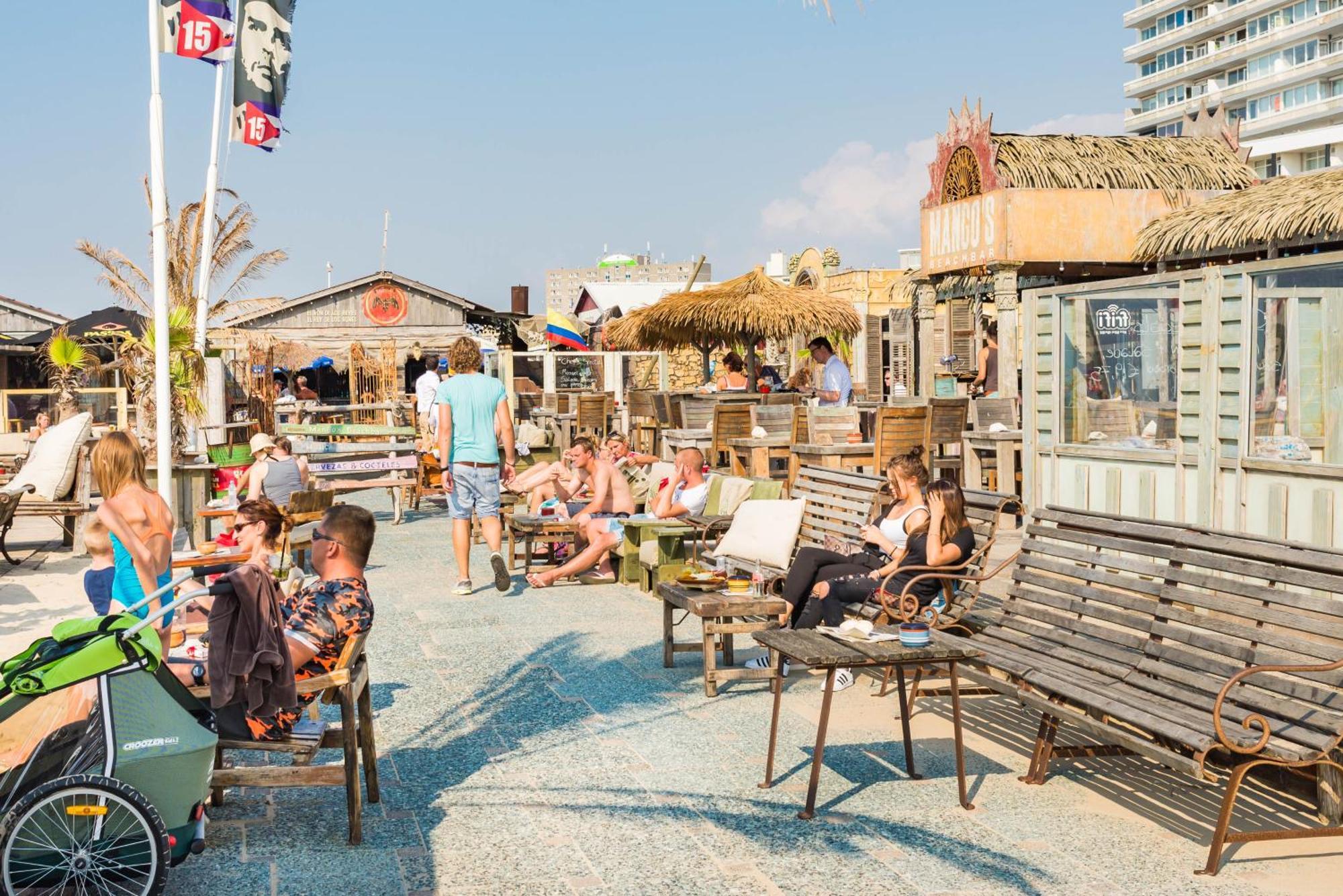 Chalet Zandvoort Eksteriør bilde